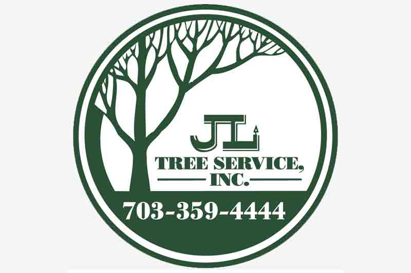 JLT-Trees